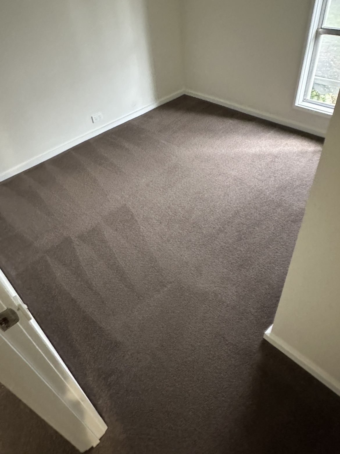Freshly steam cleaned bedroom carpet with crisp vacuum lines.